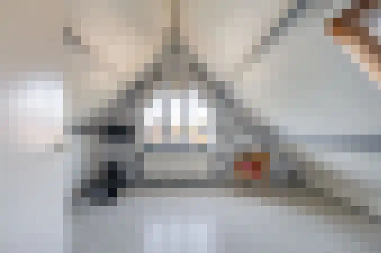 Europastraat 29 Krommenie thumbnail 37