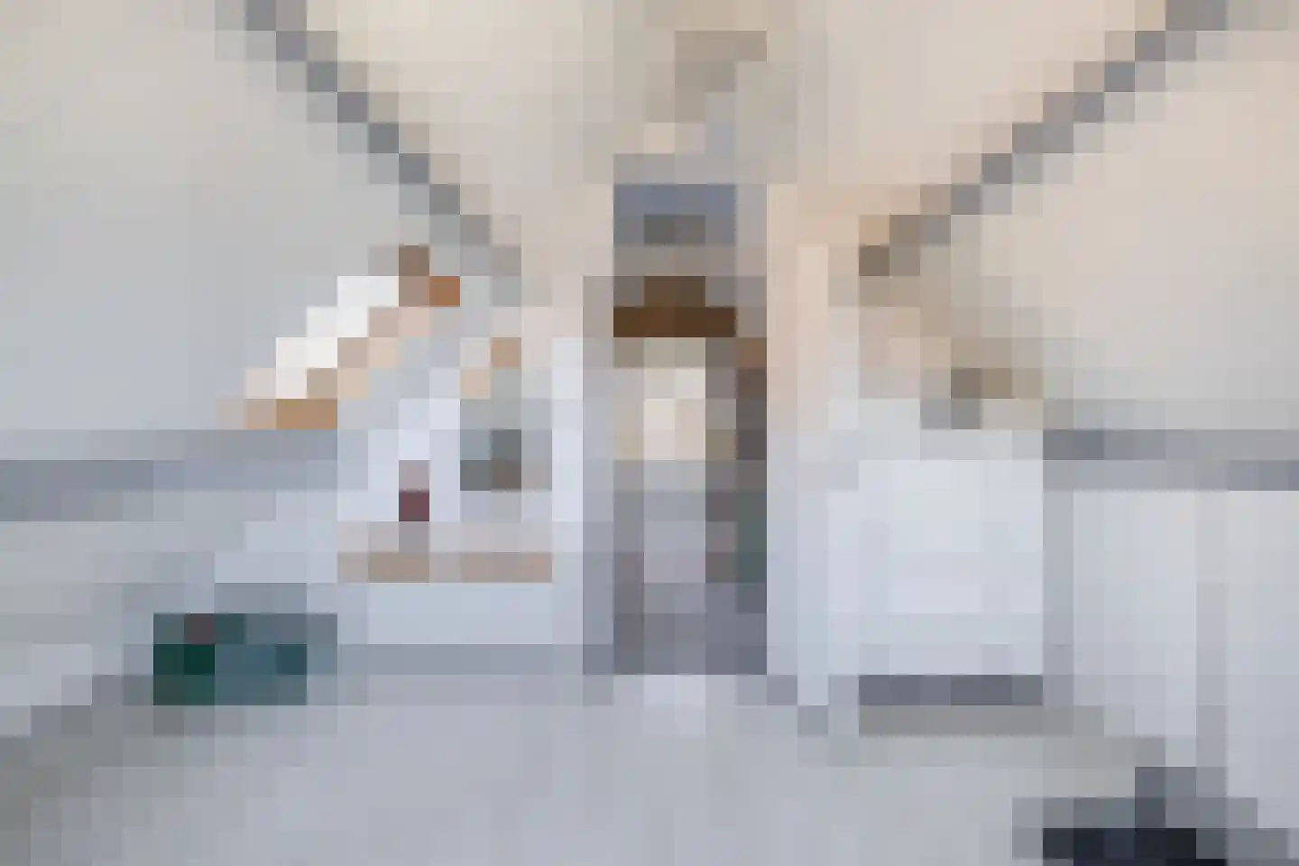Europastraat 29 Krommenie thumbnail 38