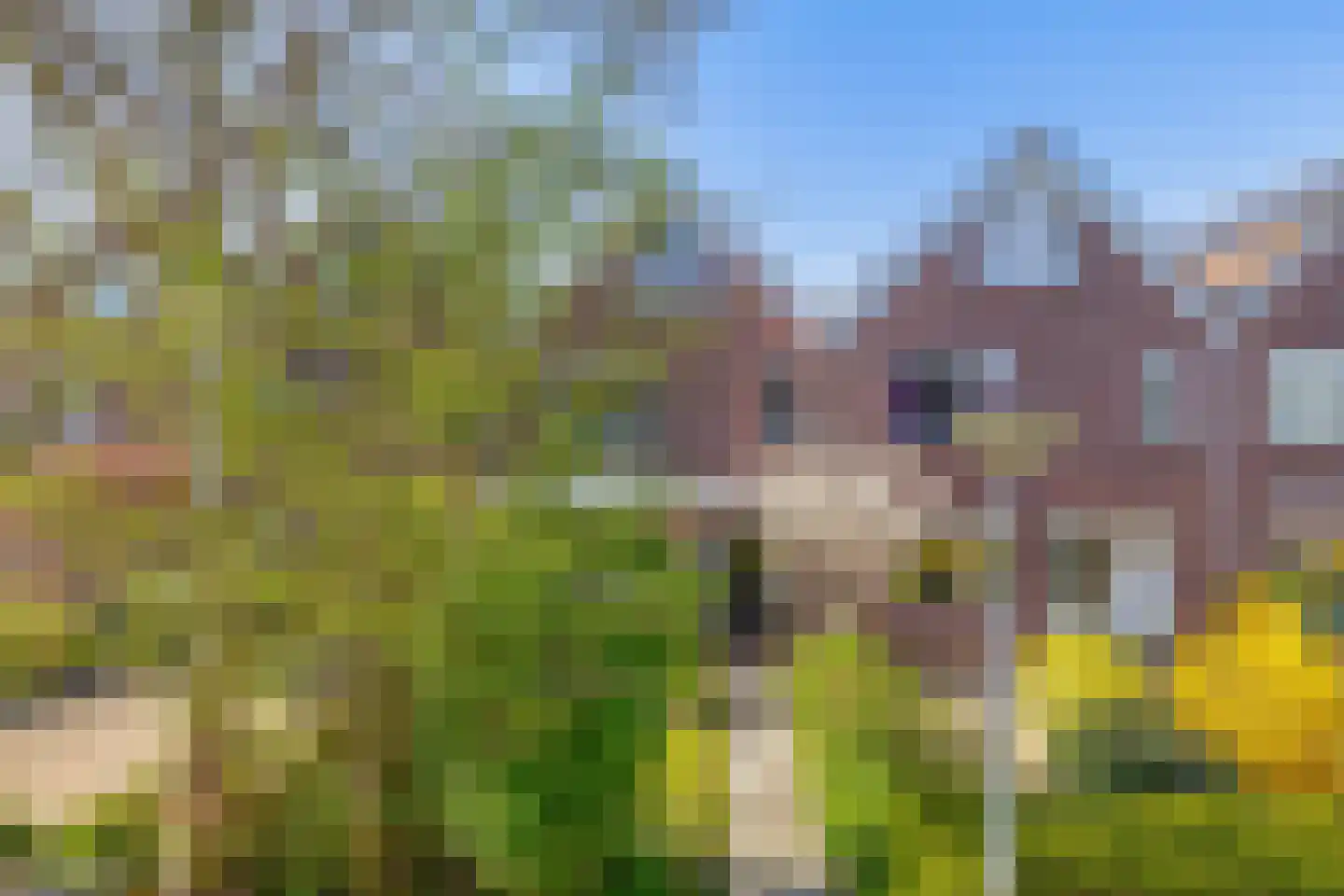 Europastraat 29 Krommenie thumbnail 5