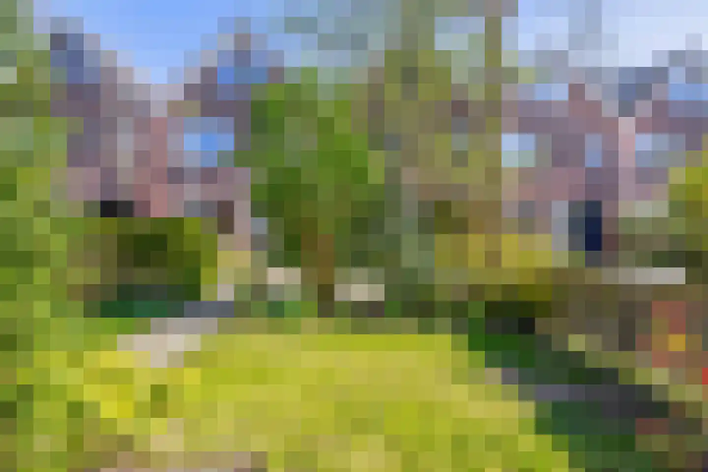 Europastraat 29 Krommenie thumbnail 6