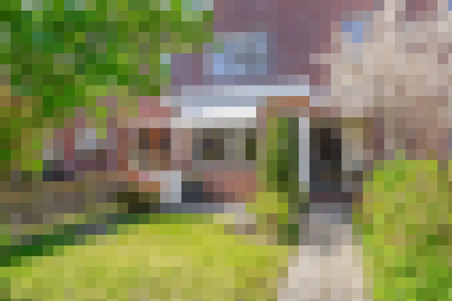 Europastraat 29 Krommenie thumbnail 7