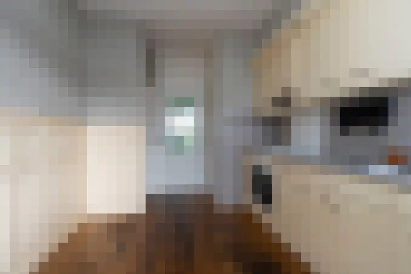Europastraat 3 Stramproy thumbnail 10
