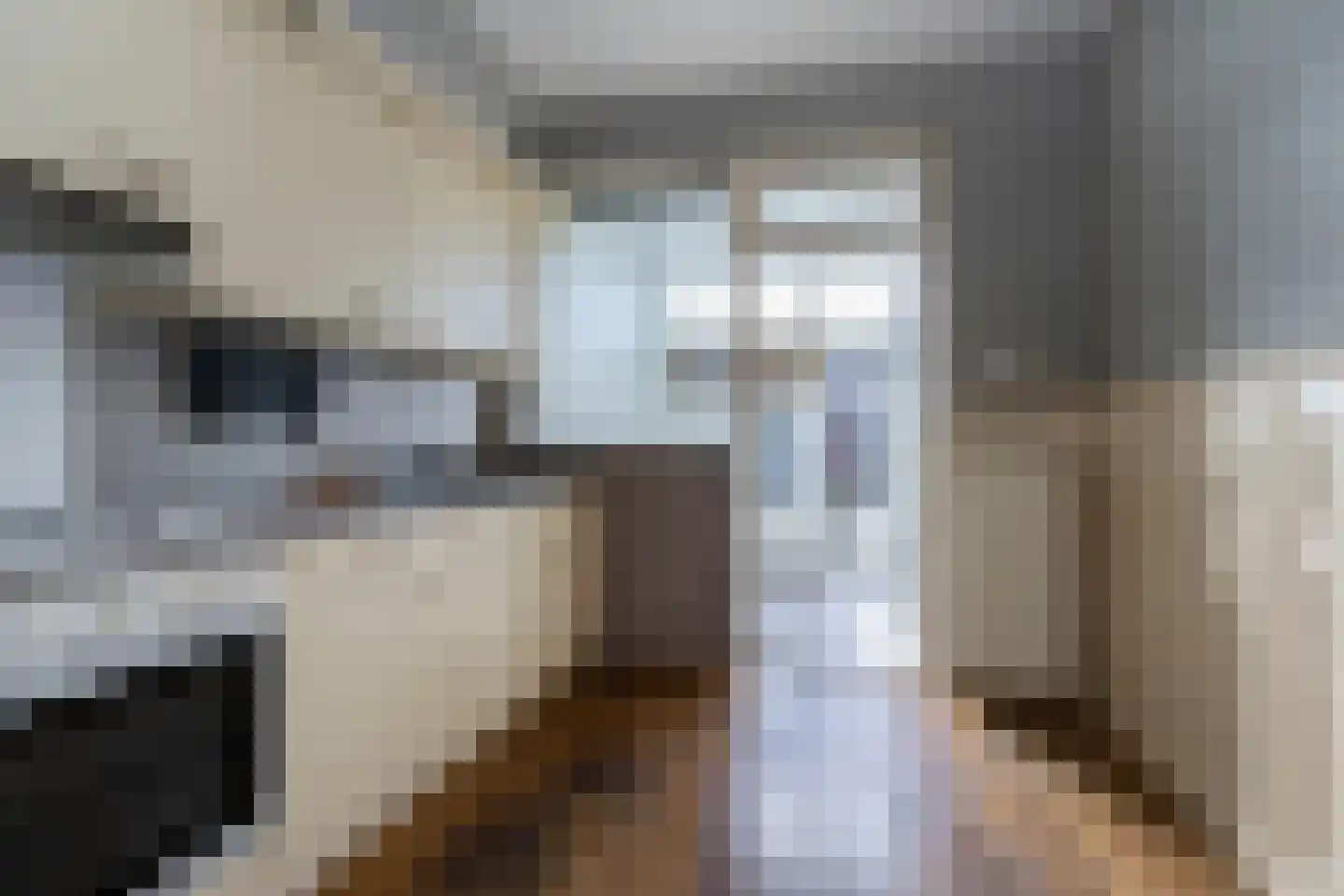 Europastraat 3 Stramproy thumbnail 11