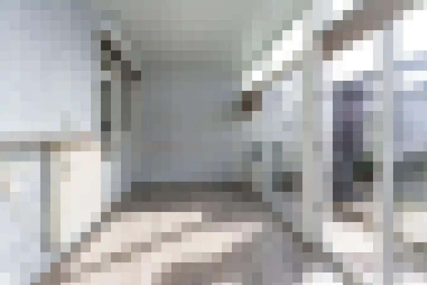 Europastraat 3 Stramproy thumbnail 13