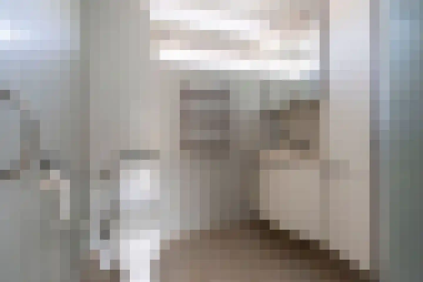 Europastraat 3 Stramproy thumbnail 16