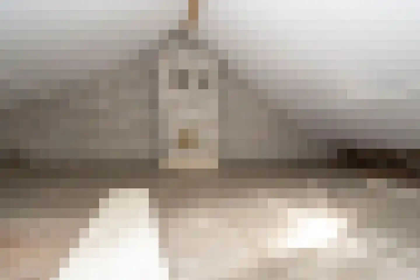 Europastraat 3 Stramproy thumbnail 25