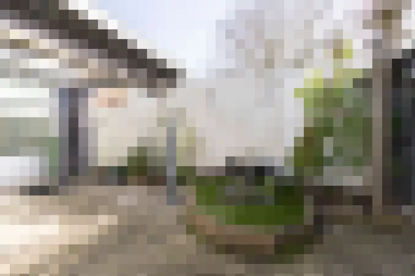Europastraat 3 Stramproy thumbnail 28