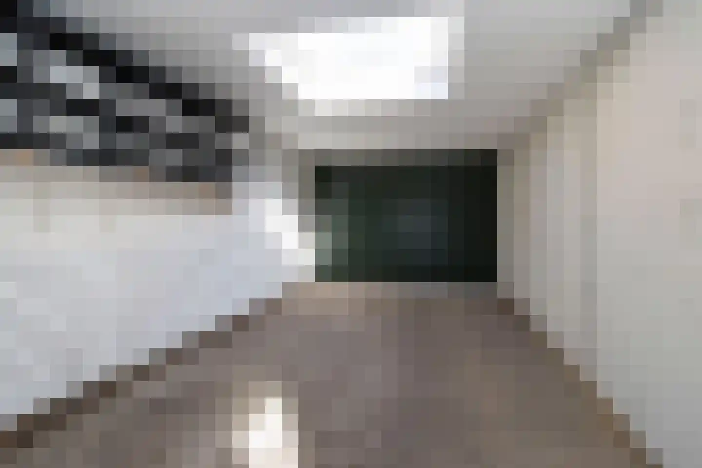 Europastraat 3 Stramproy thumbnail 32