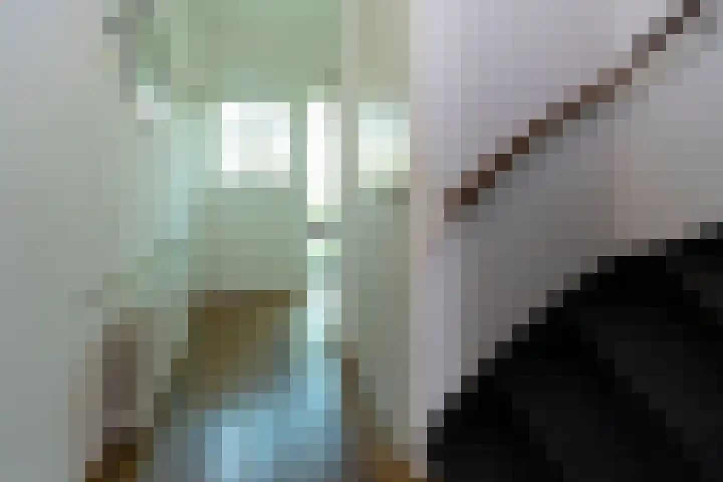 Europastraat 3 Stramproy thumbnail 6