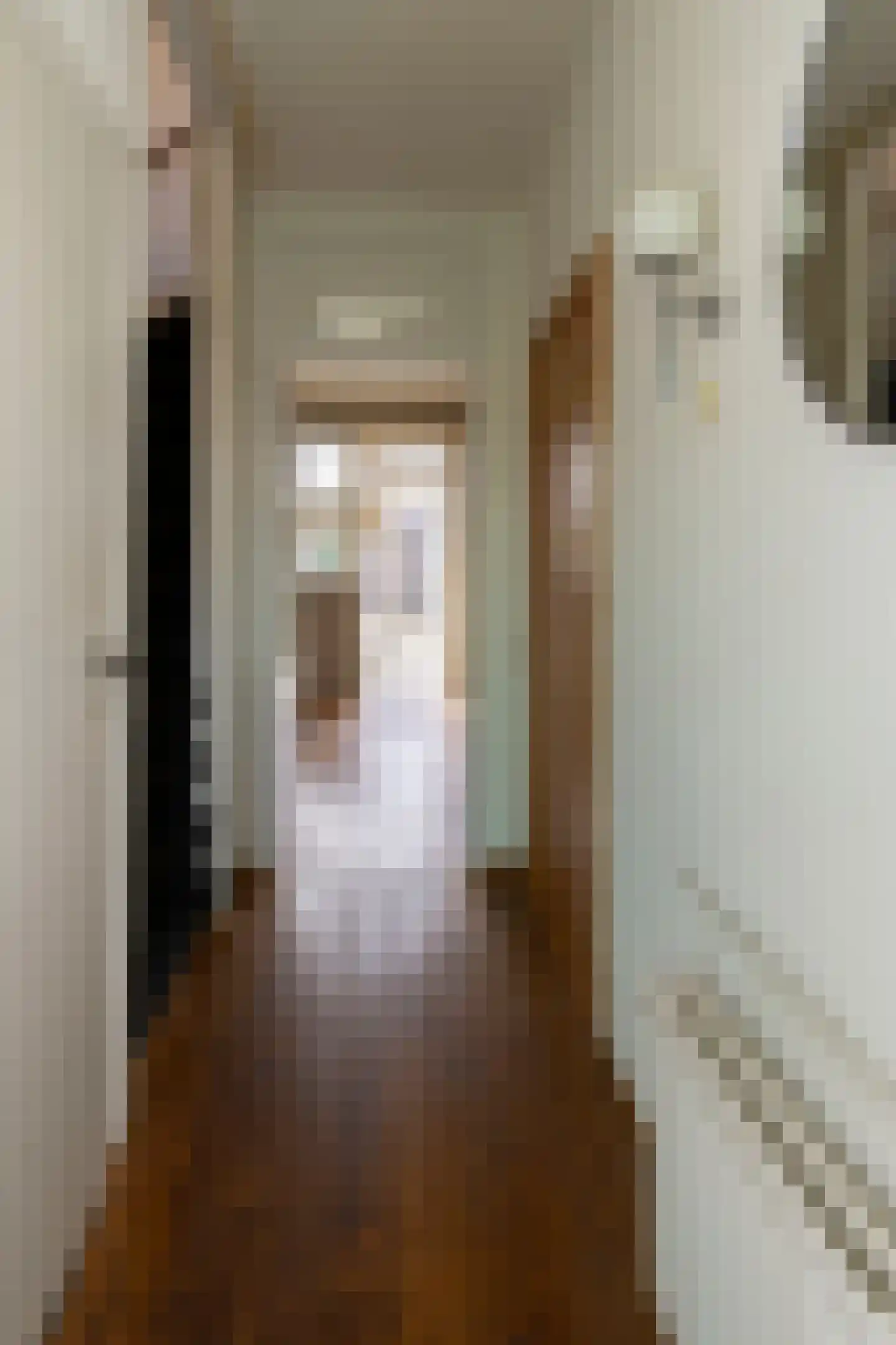 Europastraat 3 Stramproy thumbnail 7