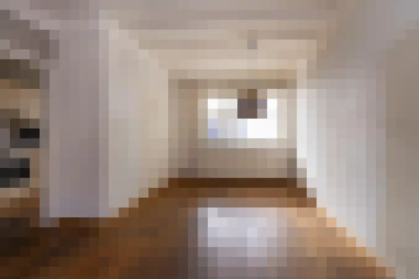 Europastraat 3 Stramproy thumbnail 9