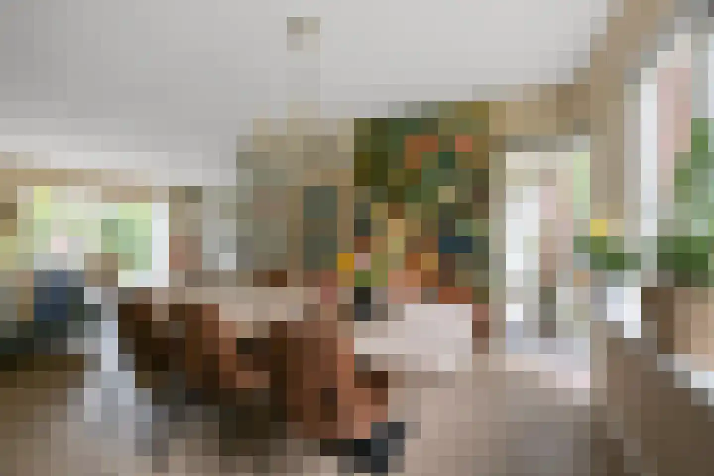 Europastraat 33 Krommenie thumbnail 12