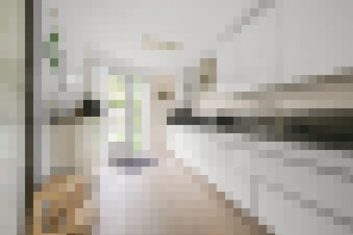 Europastraat 33 Krommenie thumbnail 18