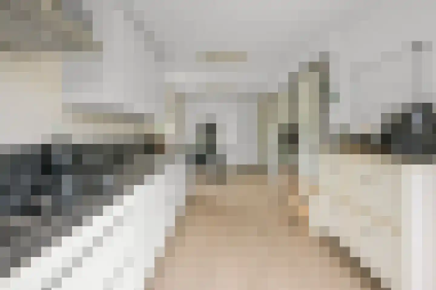Europastraat 33 Krommenie thumbnail 19