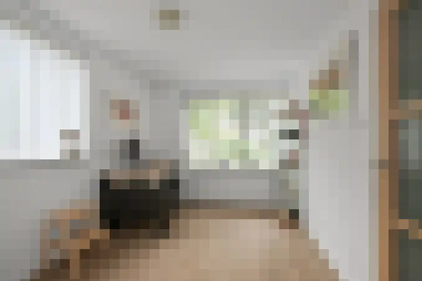 Europastraat 33 Krommenie thumbnail 28