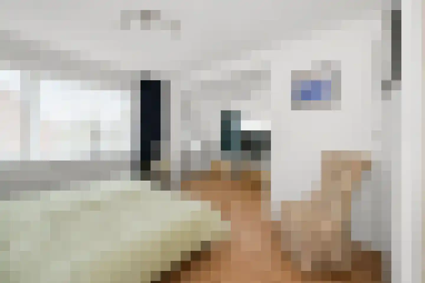 Europastraat 33 Krommenie thumbnail 31