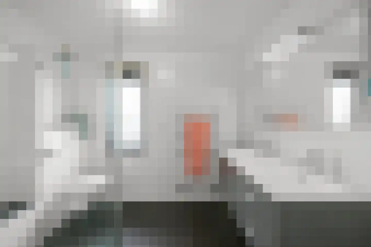 Europastraat 33 Krommenie thumbnail 38