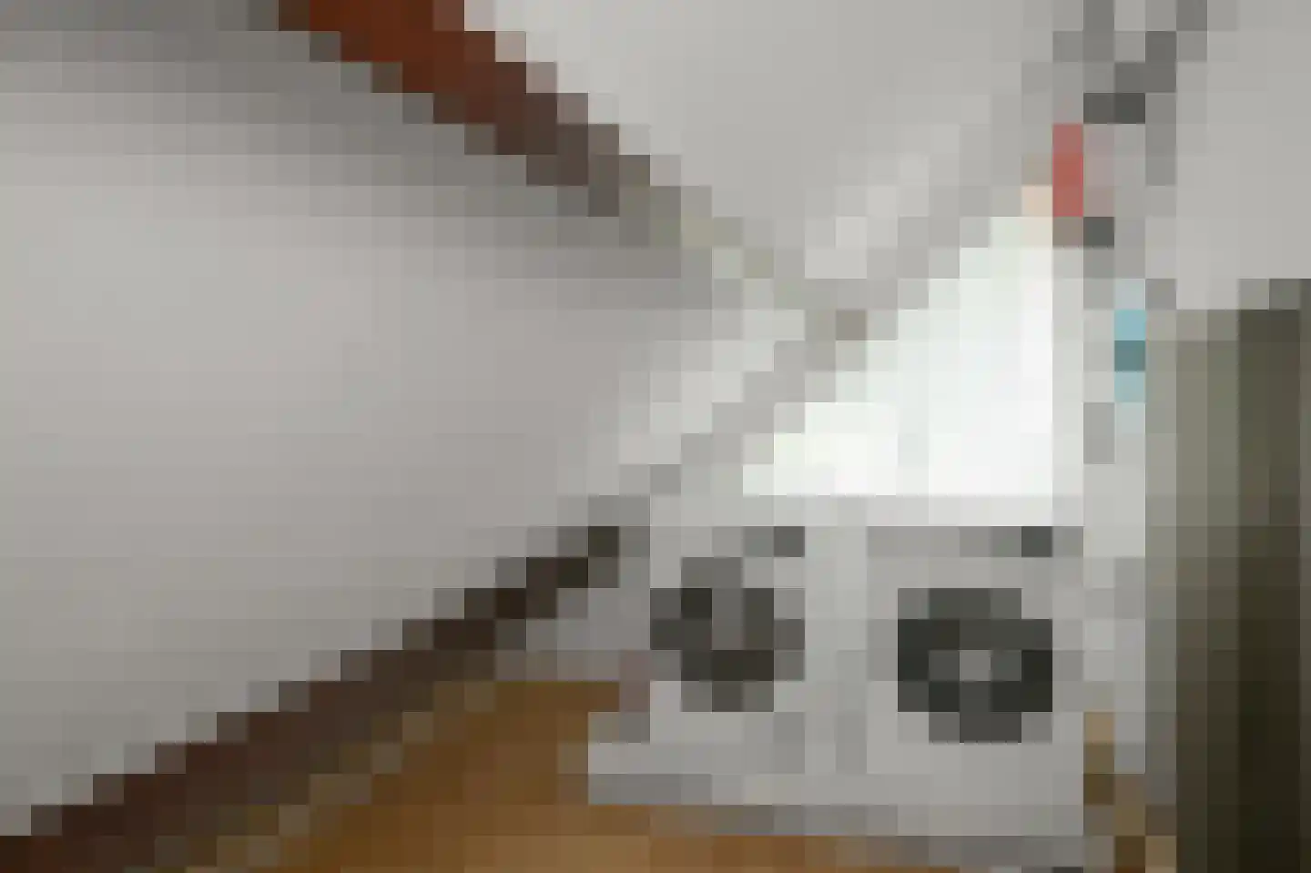 Europastraat 33 Krommenie thumbnail 41