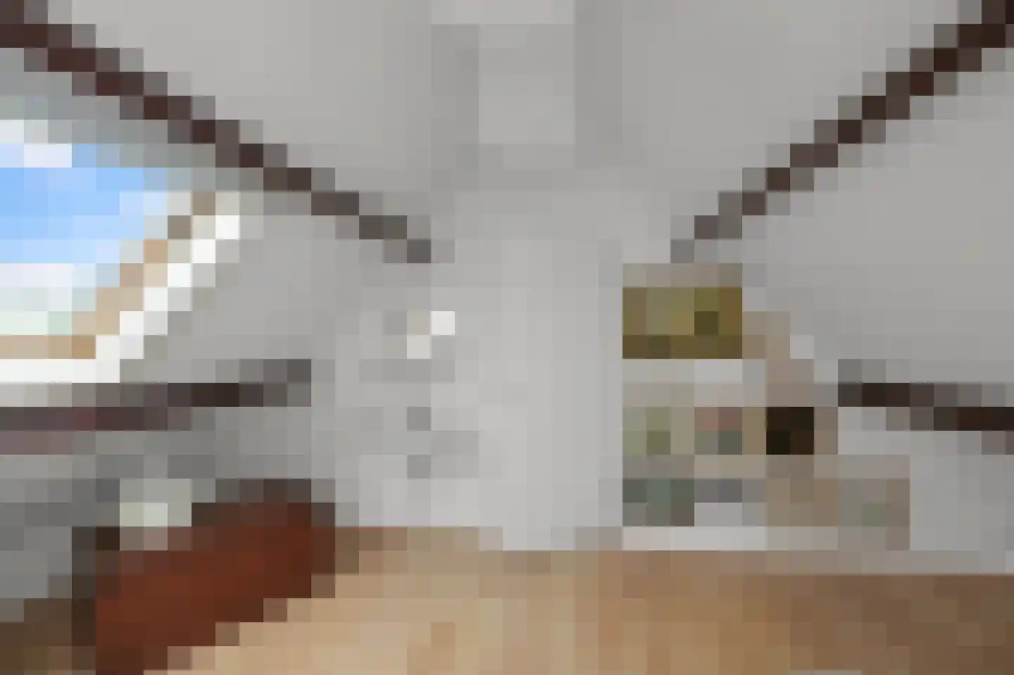 Europastraat 33 Krommenie thumbnail 44