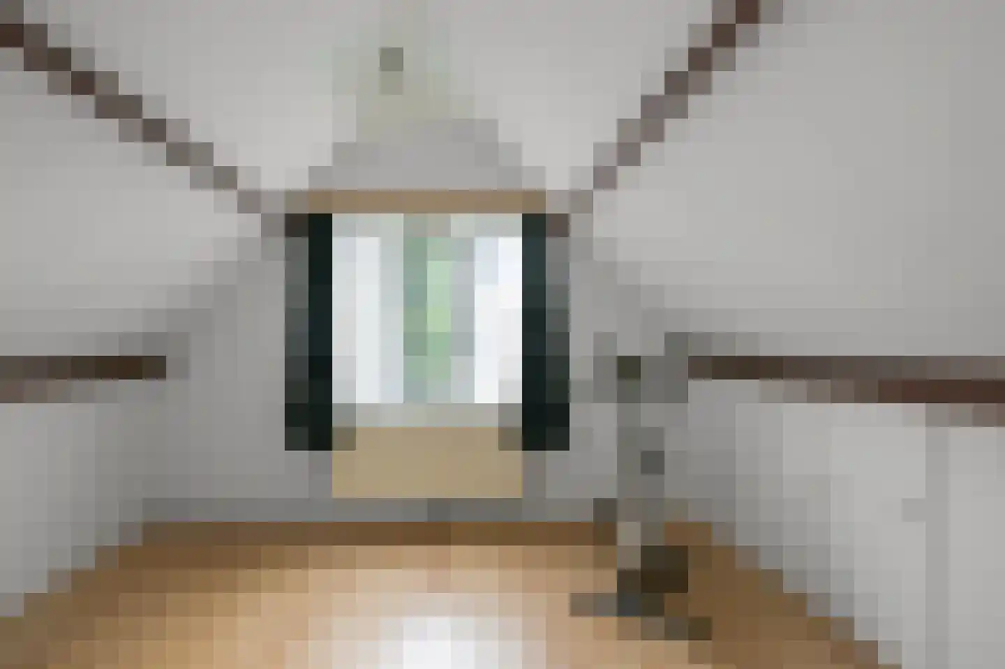 Europastraat 33 Krommenie thumbnail 45
