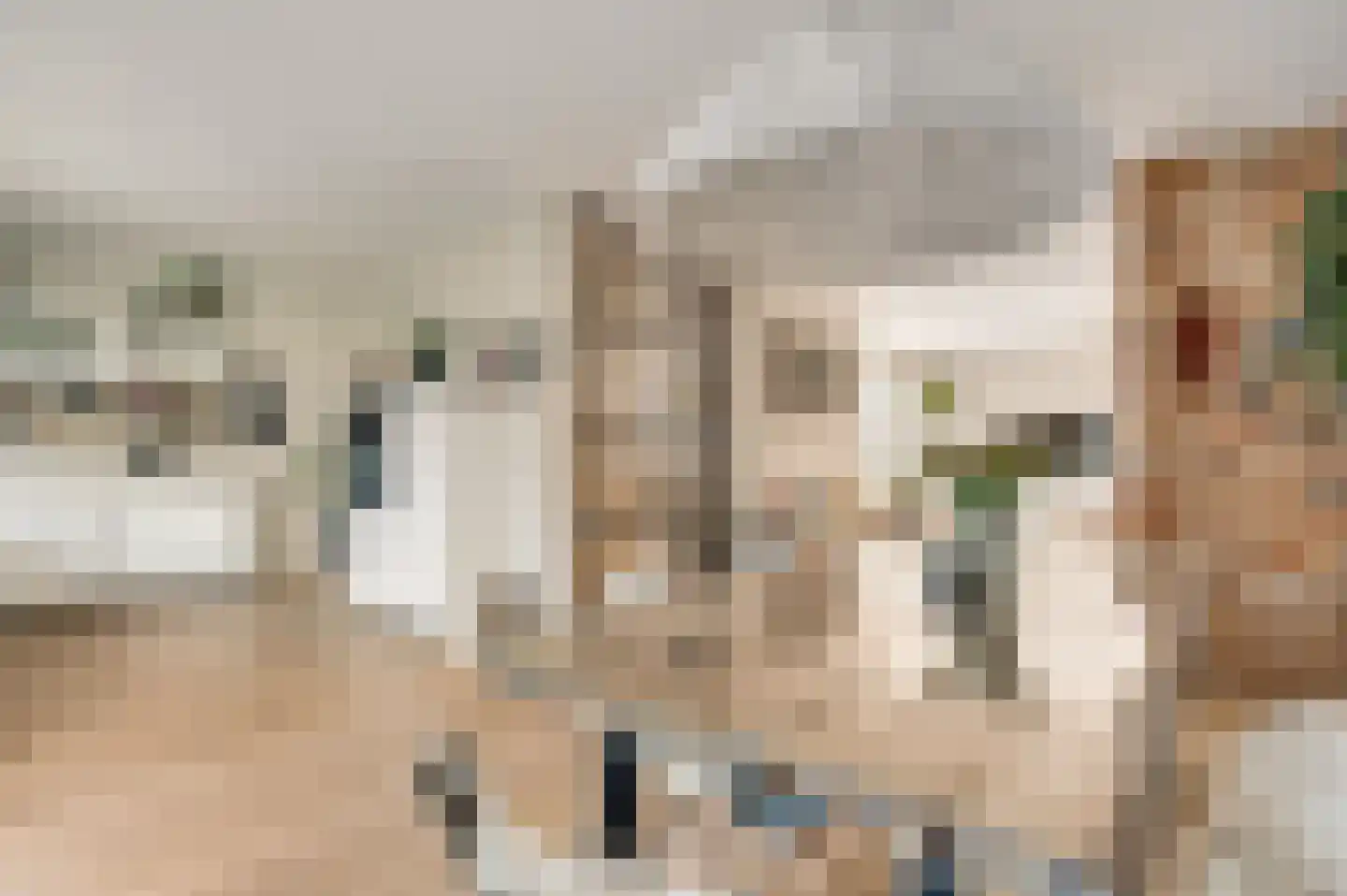 Europastraat 34 Ulestraten thumbnail 13