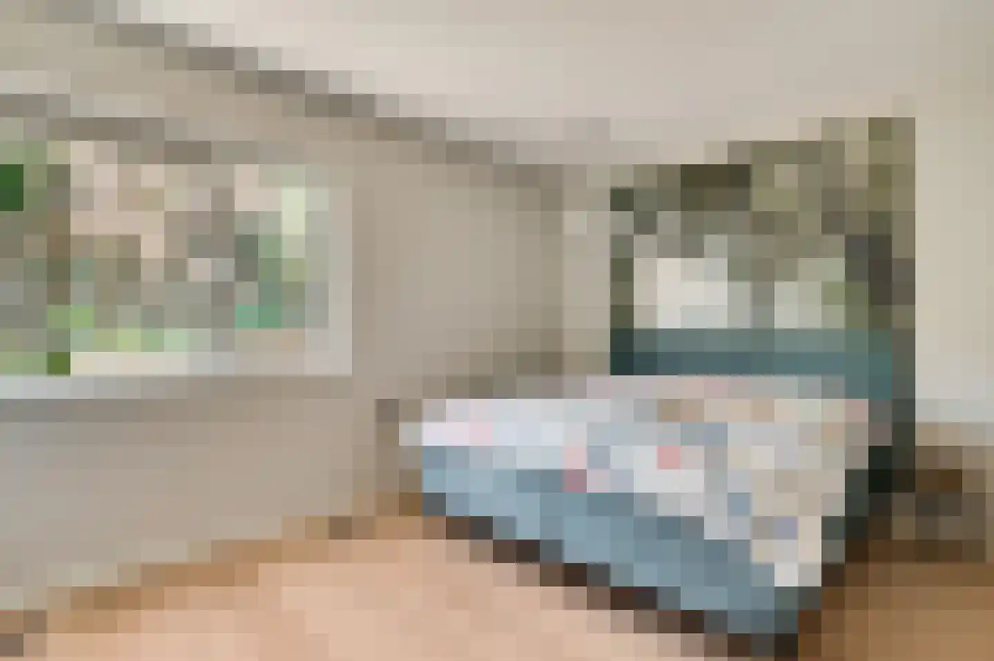 Europastraat 34 Ulestraten thumbnail 15
