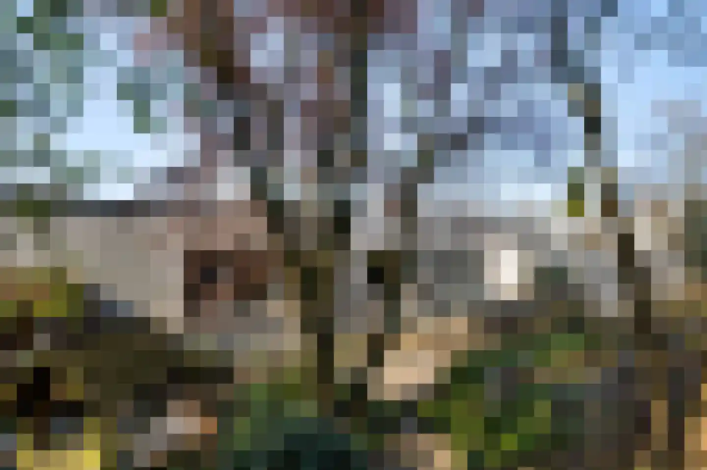Europastraat 34 Ulestraten thumbnail 20