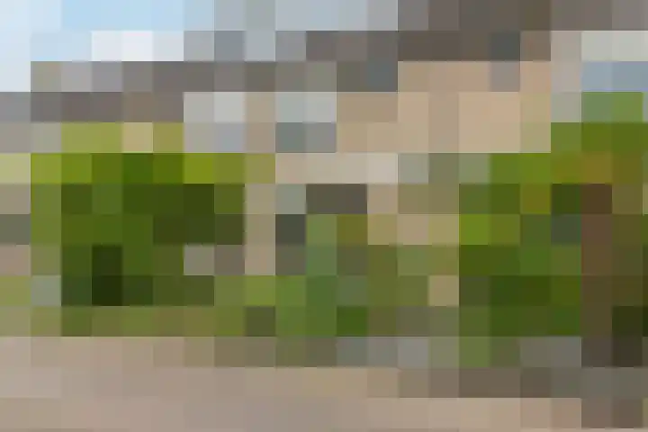 Europastraat 36 Dinteloord thumbnail 10