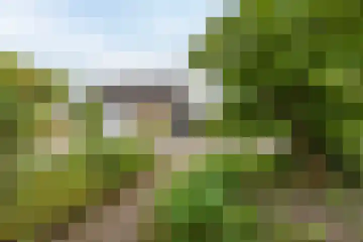 Europastraat 36 Dinteloord thumbnail 12