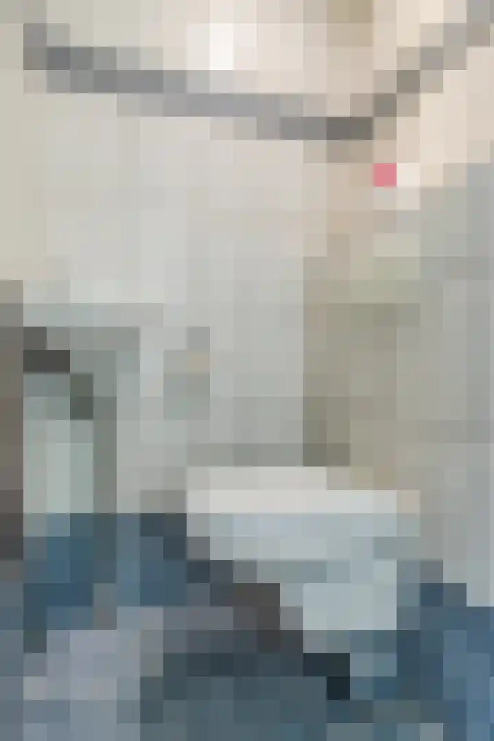 Europastraat 36 Dinteloord thumbnail 15
