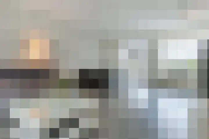 Europastraat 36 Dinteloord thumbnail 17