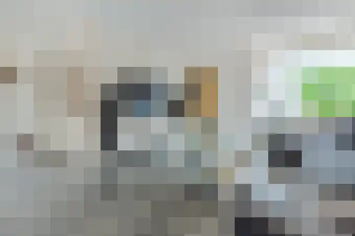 Europastraat 36 Dinteloord thumbnail 19