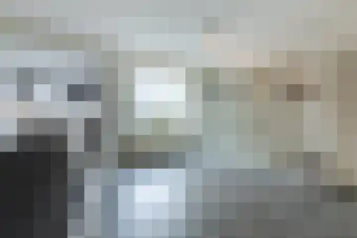 Europastraat 36 Dinteloord thumbnail 20