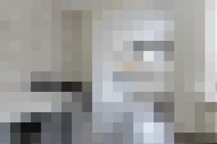 Europastraat 36 Dinteloord thumbnail 24