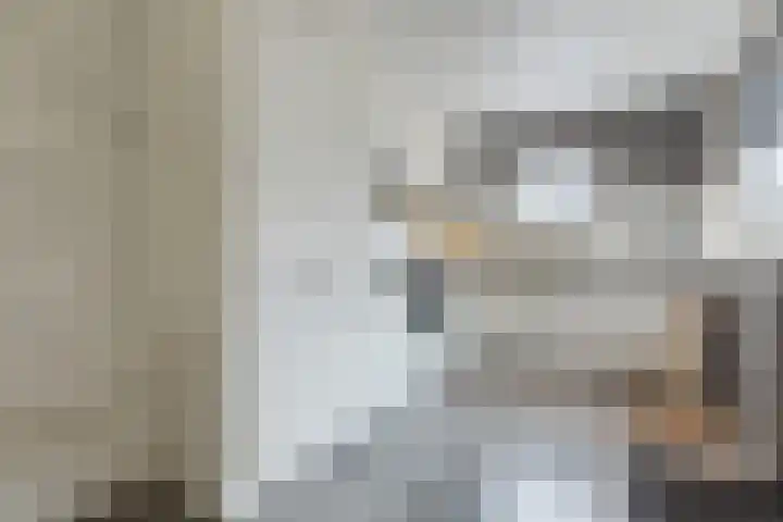 Europastraat 36 Dinteloord thumbnail 25