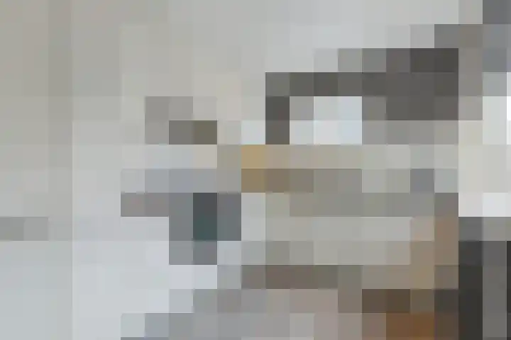 Europastraat 36 Dinteloord thumbnail 26