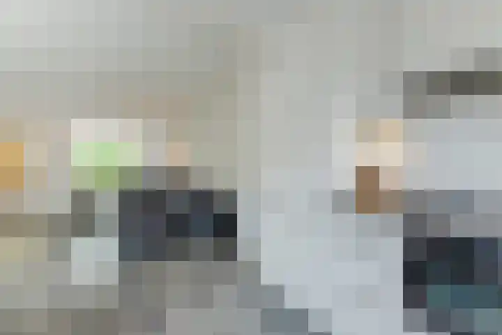 Europastraat 36 Dinteloord thumbnail 27