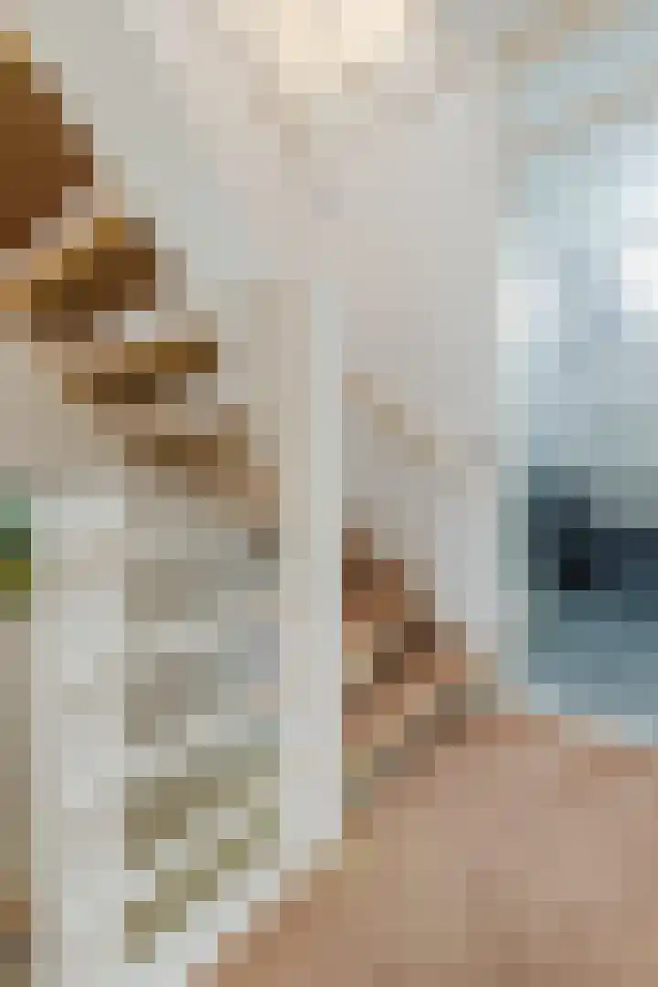 Europastraat 36 Dinteloord thumbnail 30