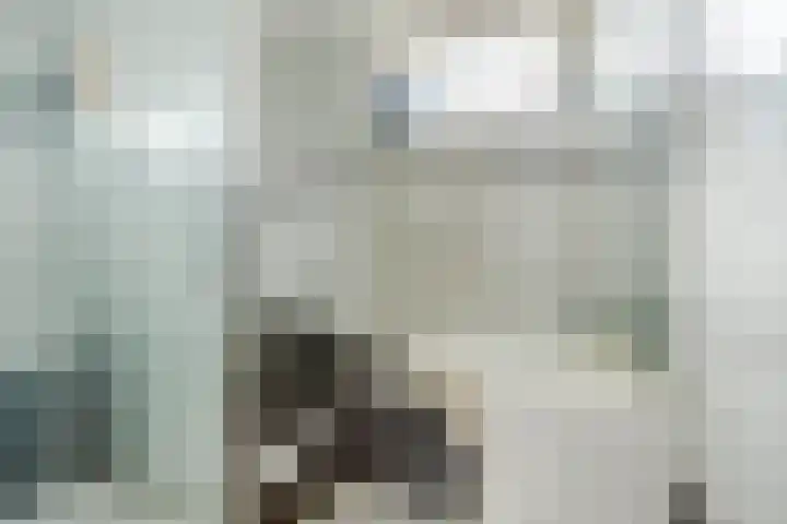 Europastraat 36 Dinteloord thumbnail 32