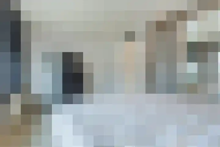 Europastraat 36 Dinteloord thumbnail 35