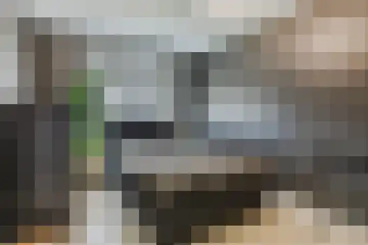 Europastraat 36 Dinteloord thumbnail 36