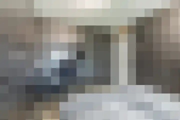 Europastraat 36 Dinteloord thumbnail 37