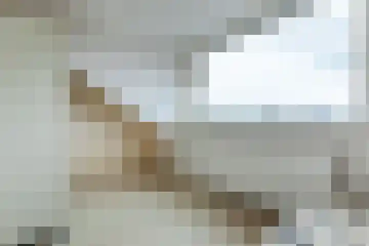 Europastraat 36 Dinteloord thumbnail 39