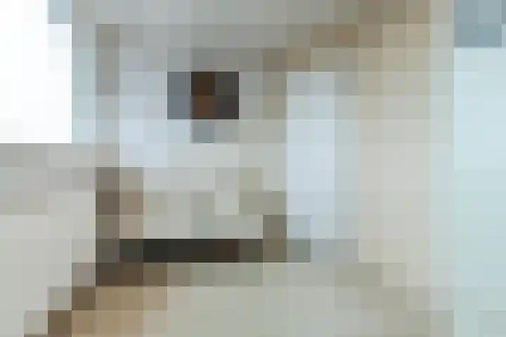 Europastraat 36 Dinteloord thumbnail 40