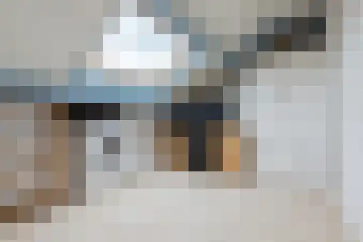 Europastraat 36 Dinteloord thumbnail 41