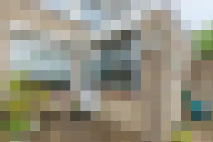Europastraat 36 Dinteloord thumbnail 43