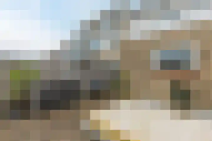 Europastraat 36 Dinteloord thumbnail 46