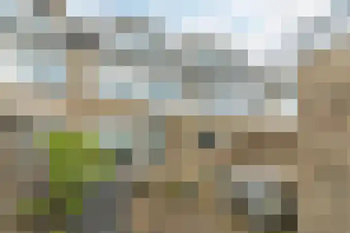 Europastraat 36 Dinteloord thumbnail 48