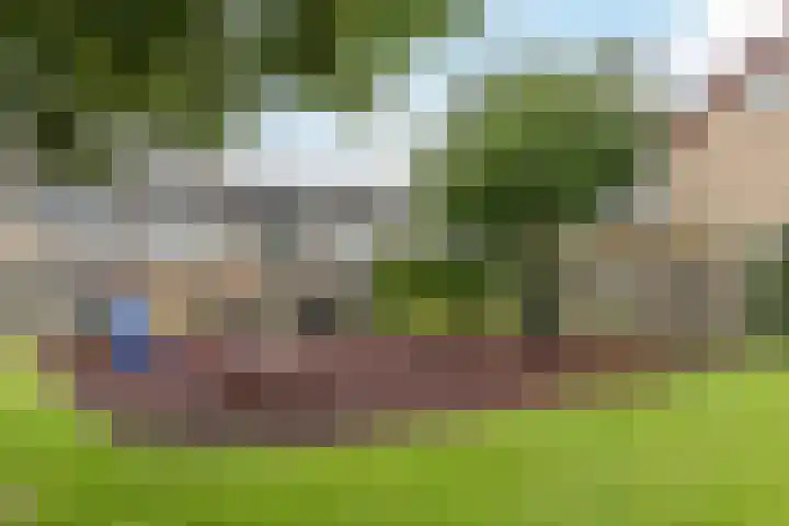 Europastraat 36 Dinteloord thumbnail 50