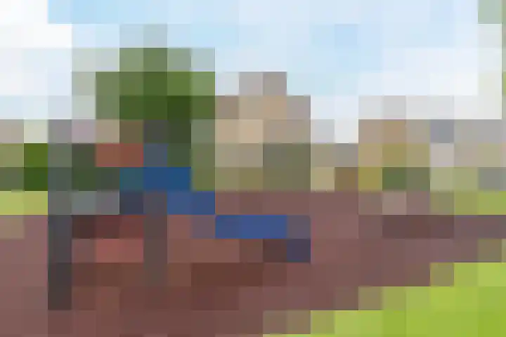 Europastraat 36 Dinteloord thumbnail 51